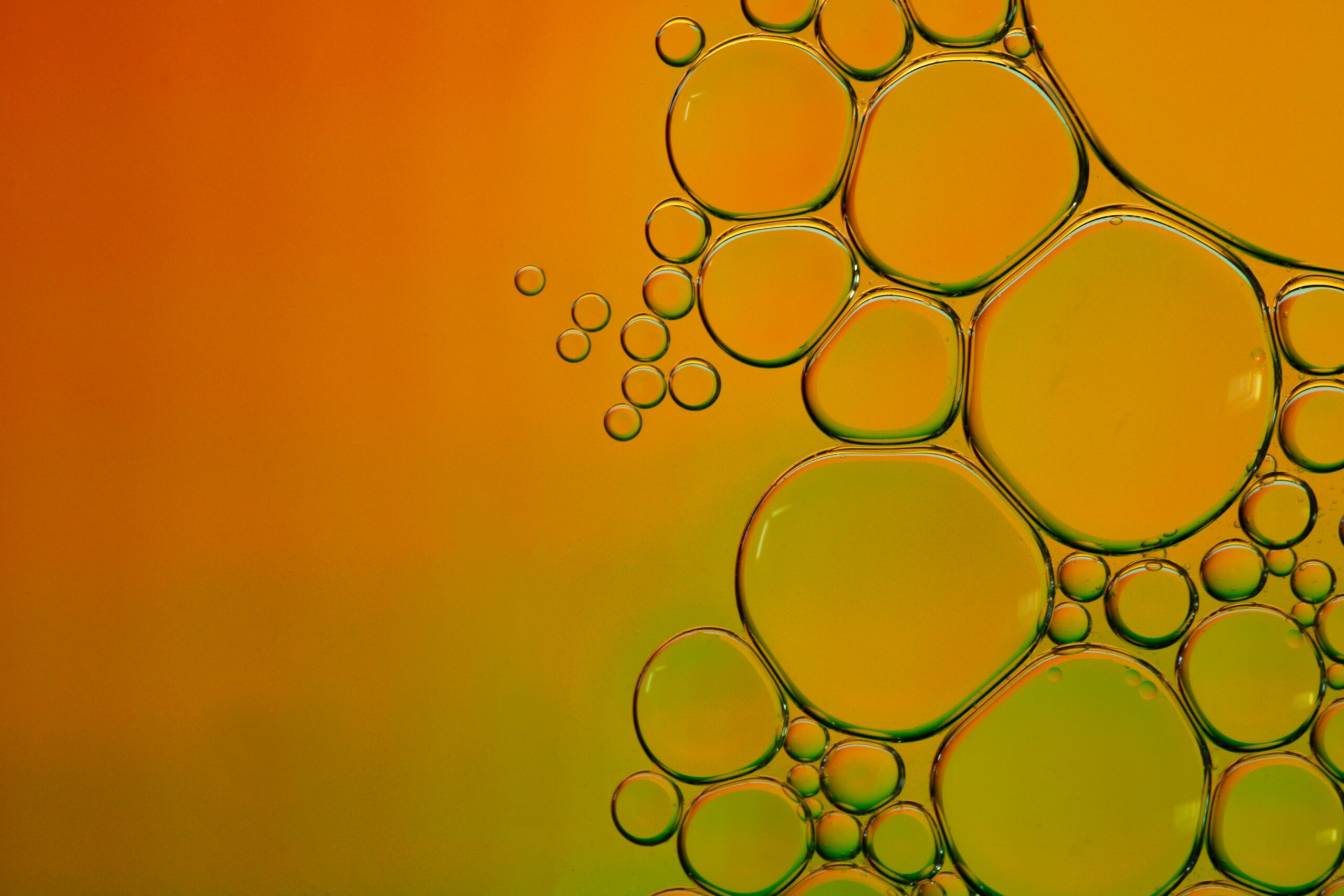 Indice saponification