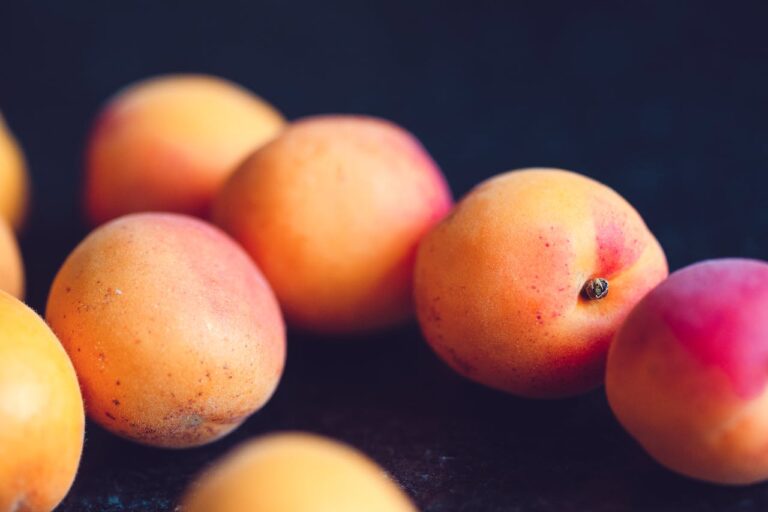 dosage de l'acide malique dans les fruits