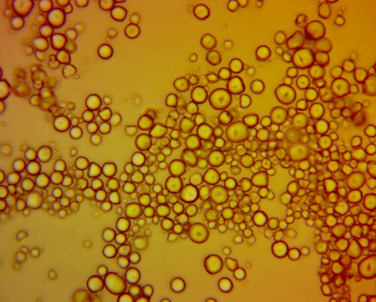 acide butyrique