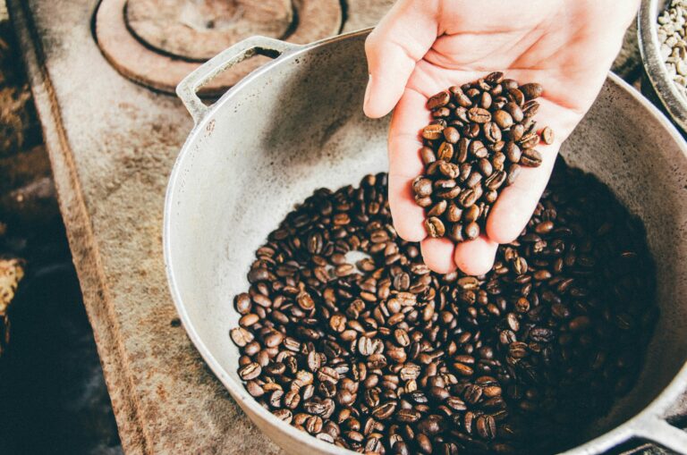 Acide caféique