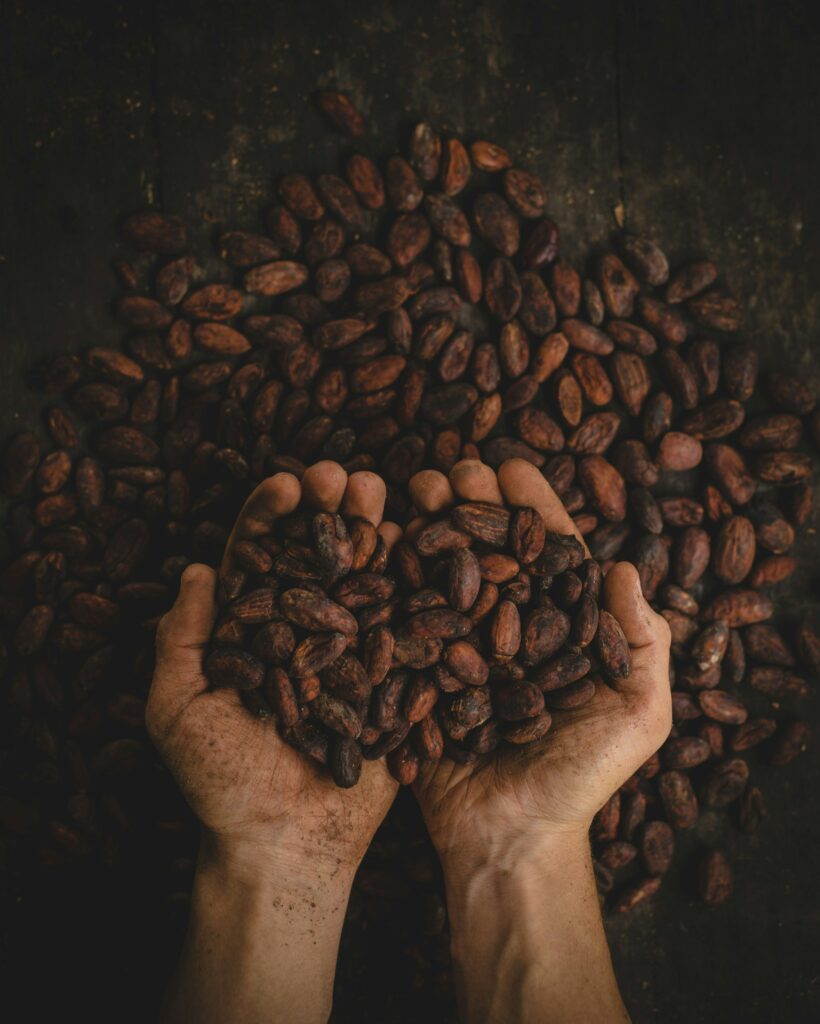 catechins