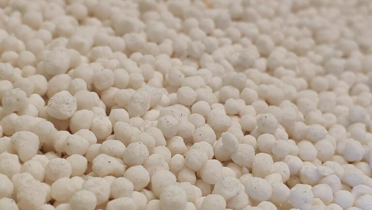 ion ammonium