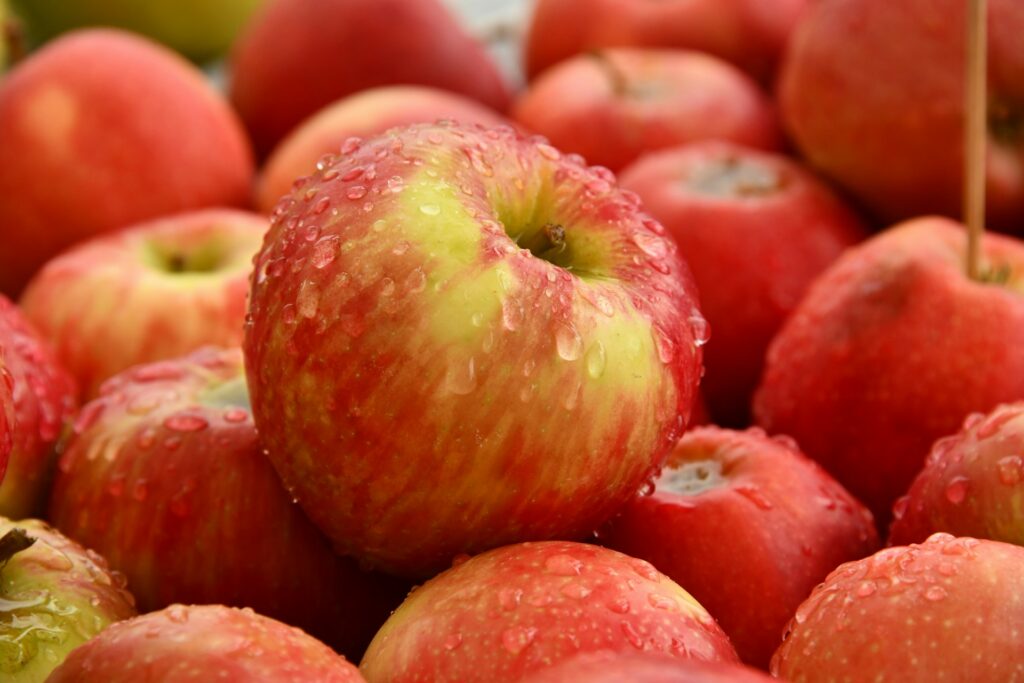 acide acétique fermentation pommes