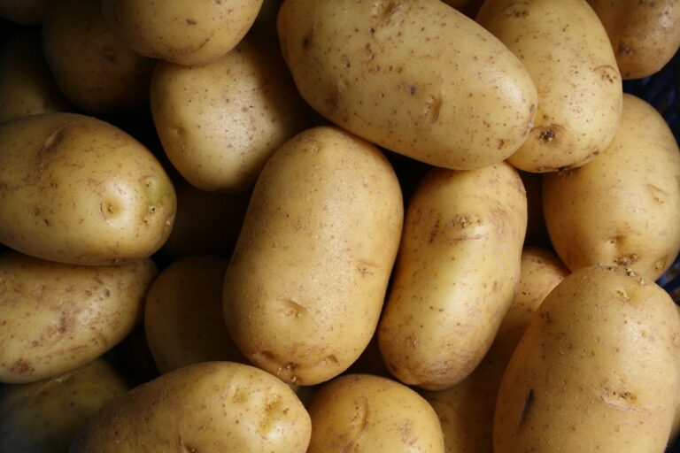 polysaccharides dans les pommes de terre