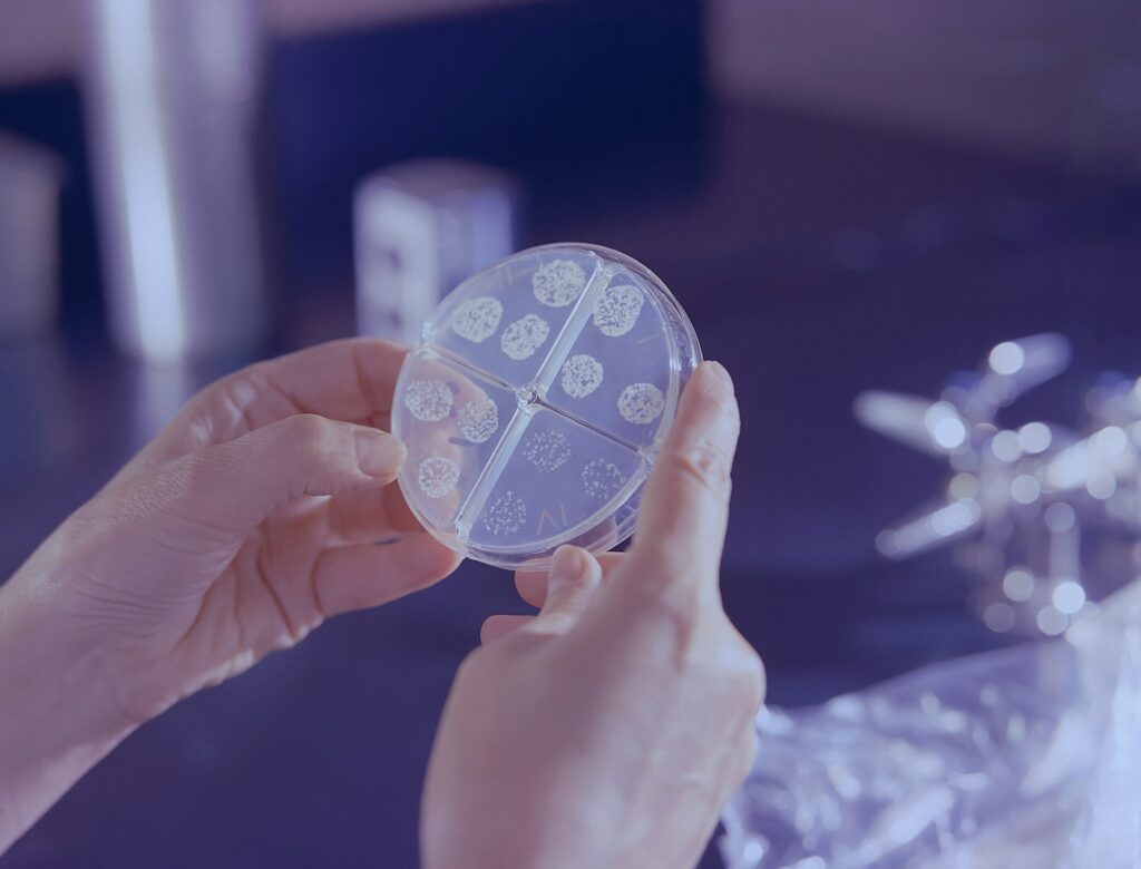 test vieillissement accelere en laboratoire