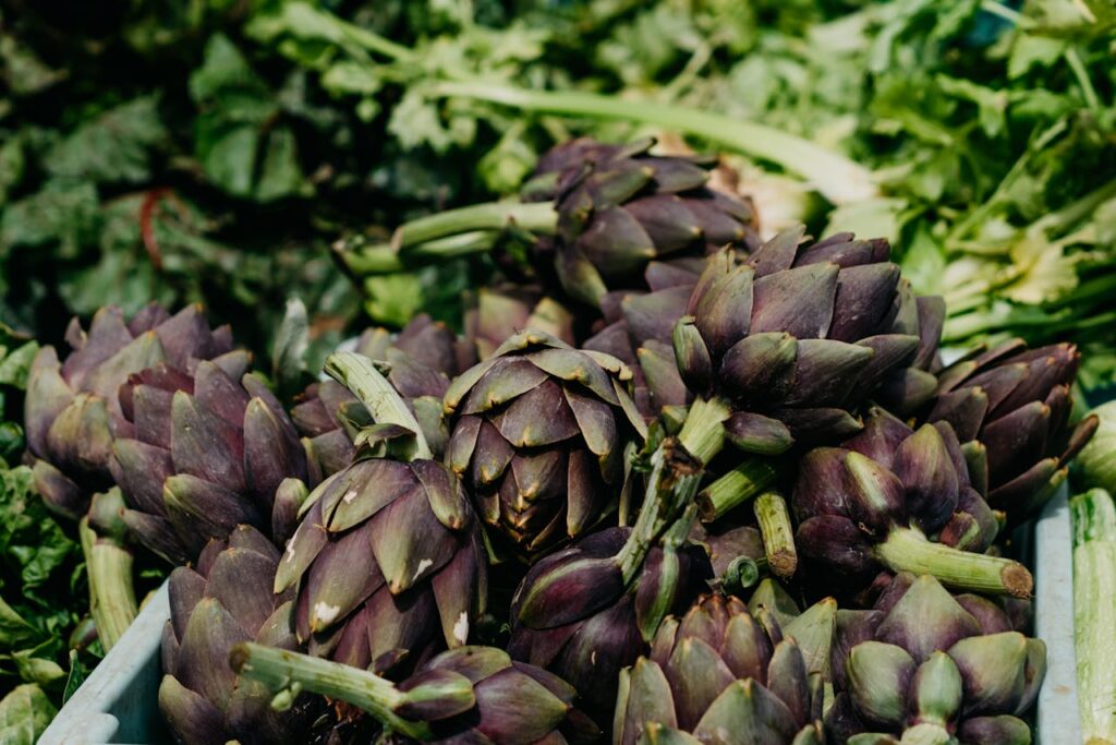 Polyphénols dans les artichauts