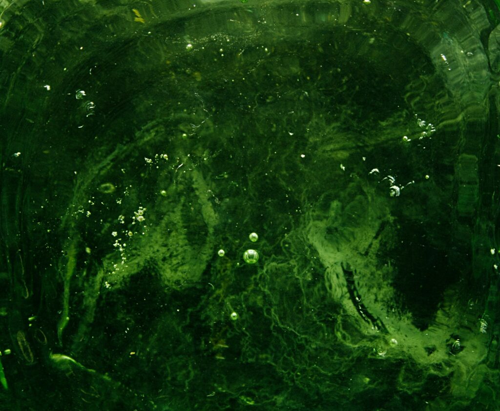 phycocyanine