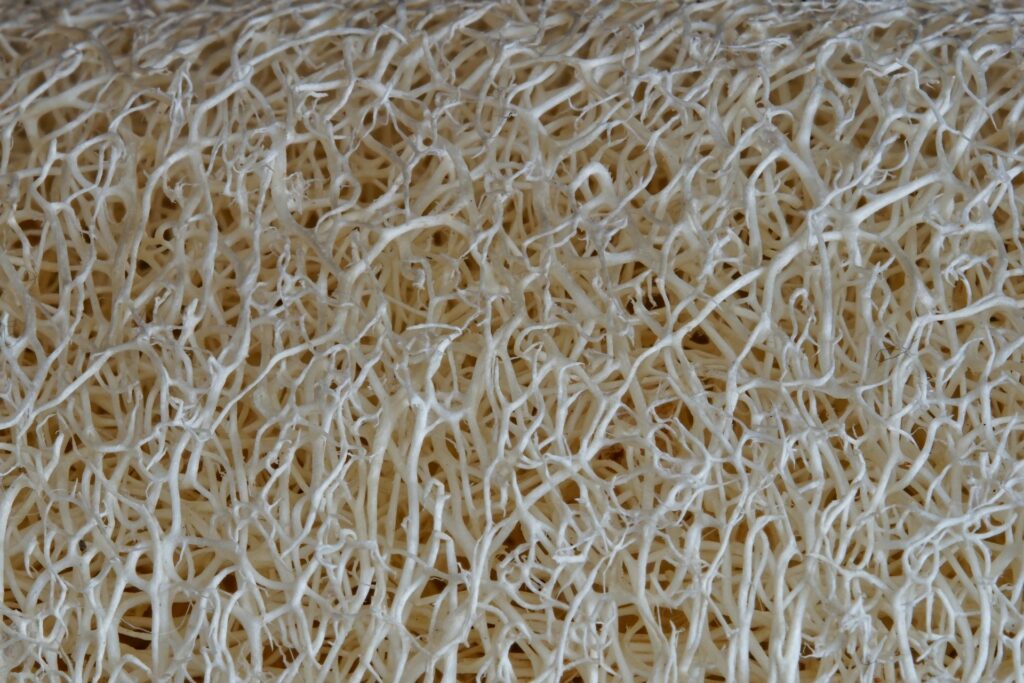 Analyse DMA des fibres