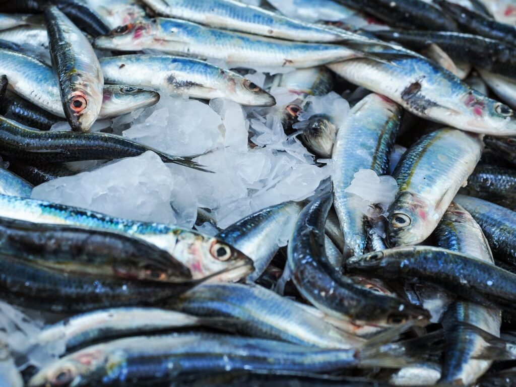 ICP-OES détection métaux lourds poisson