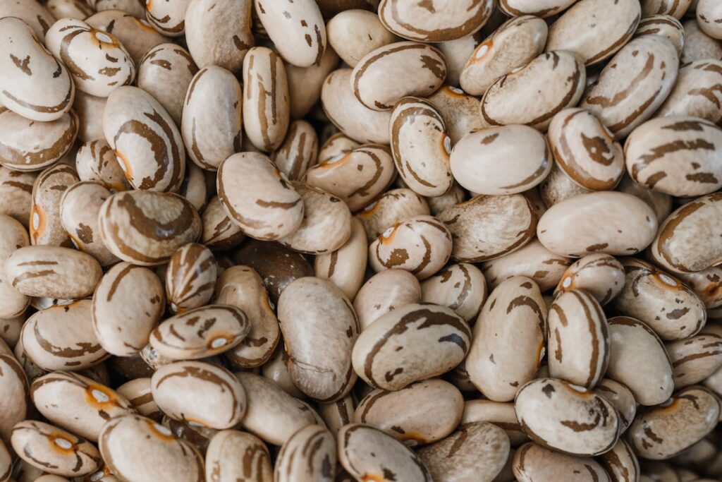 PDCAAS haricots secs