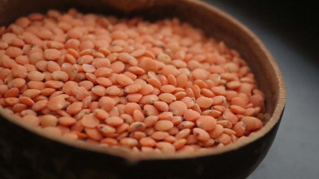 PDCAAS lentilles corail