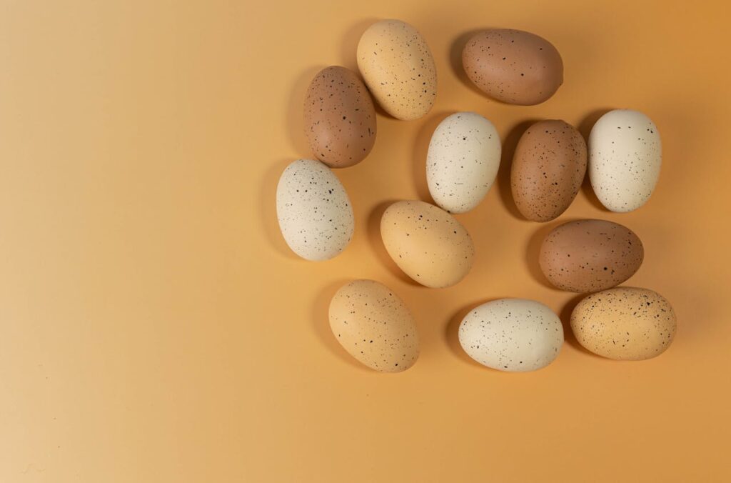 PDCAAS protéines de l oeuf