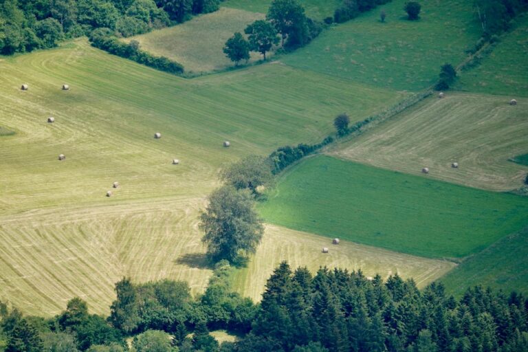 Effet du NBPT sur la réduction des pertes d’azote dans les prairies agricoles