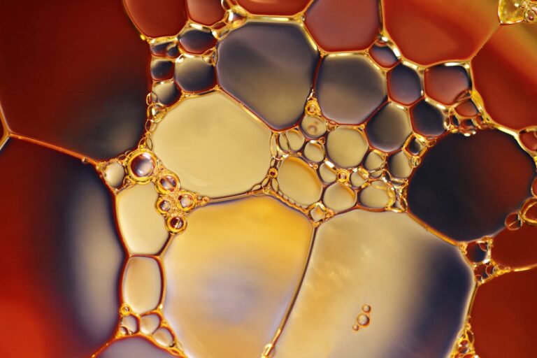 Structure lipidique observée lors d’un test Rancimat sur une huile alimentaire