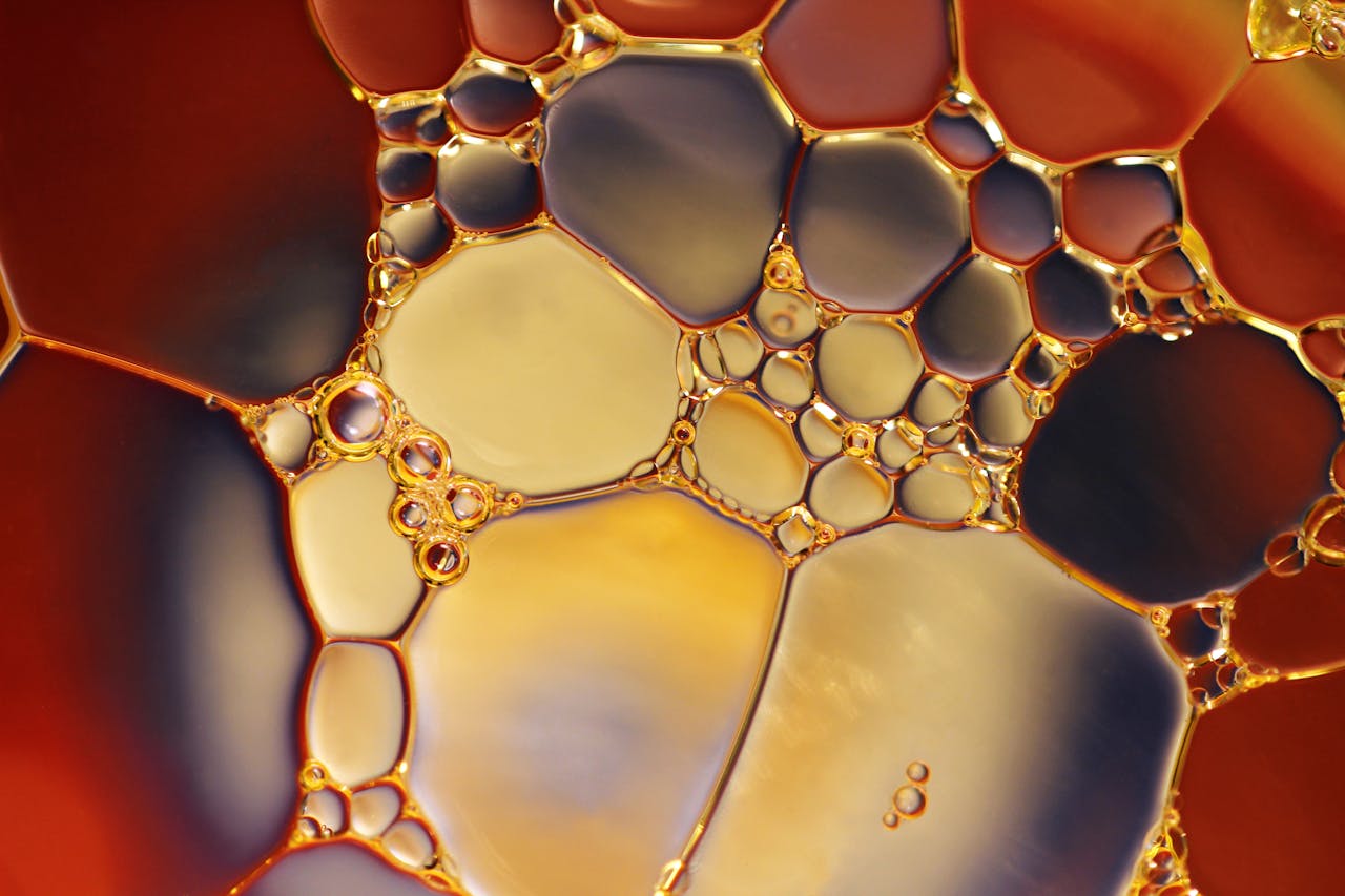 Lipid structure observed during a Rancimat test on a cooking oil