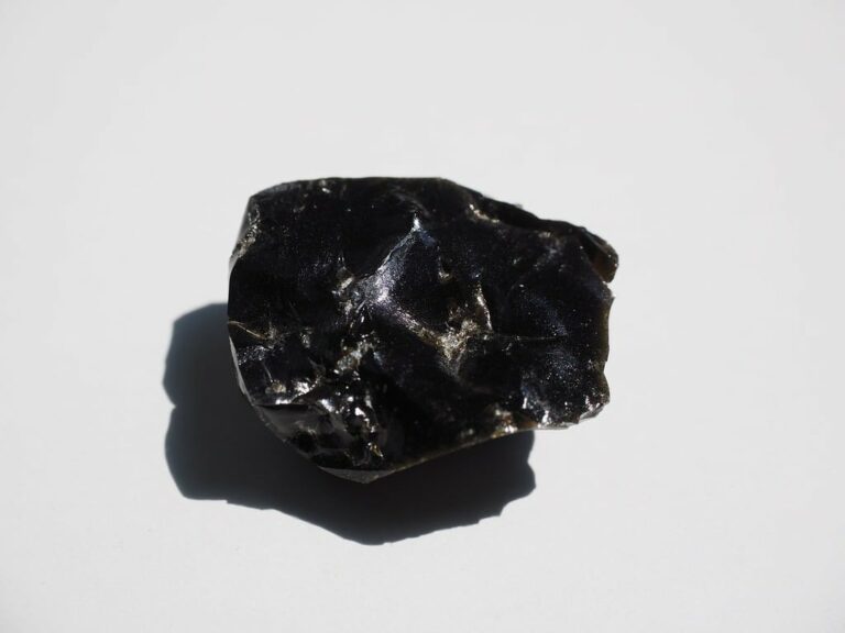 Échantillon de shilajit brut, résine naturelle noire riche en acide fulvique et humique