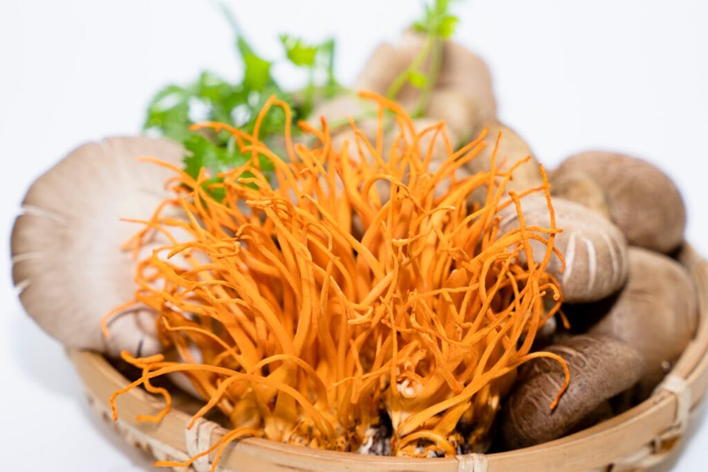Dosage cordycépine en laboratoire
