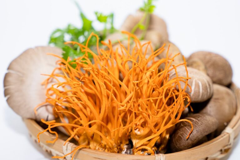 Dosage cordycépine en laboratoire