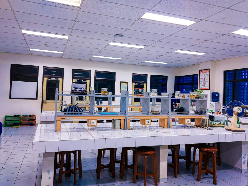 OCDE 428