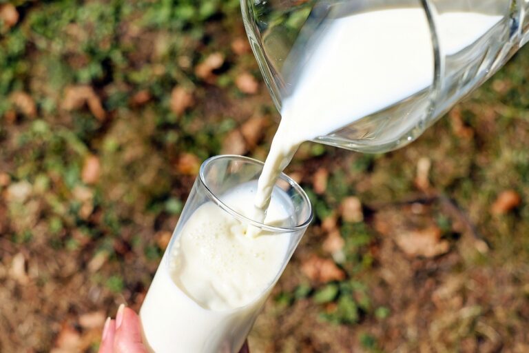 Dietary sources of vitamin B12: meat, fish, eggs and dairy products